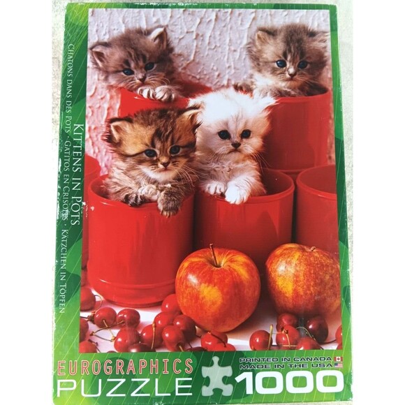 Kittens In Pots 1000 Piece Jigsaw Puzzle by Eurographics - Picture 1 of 3